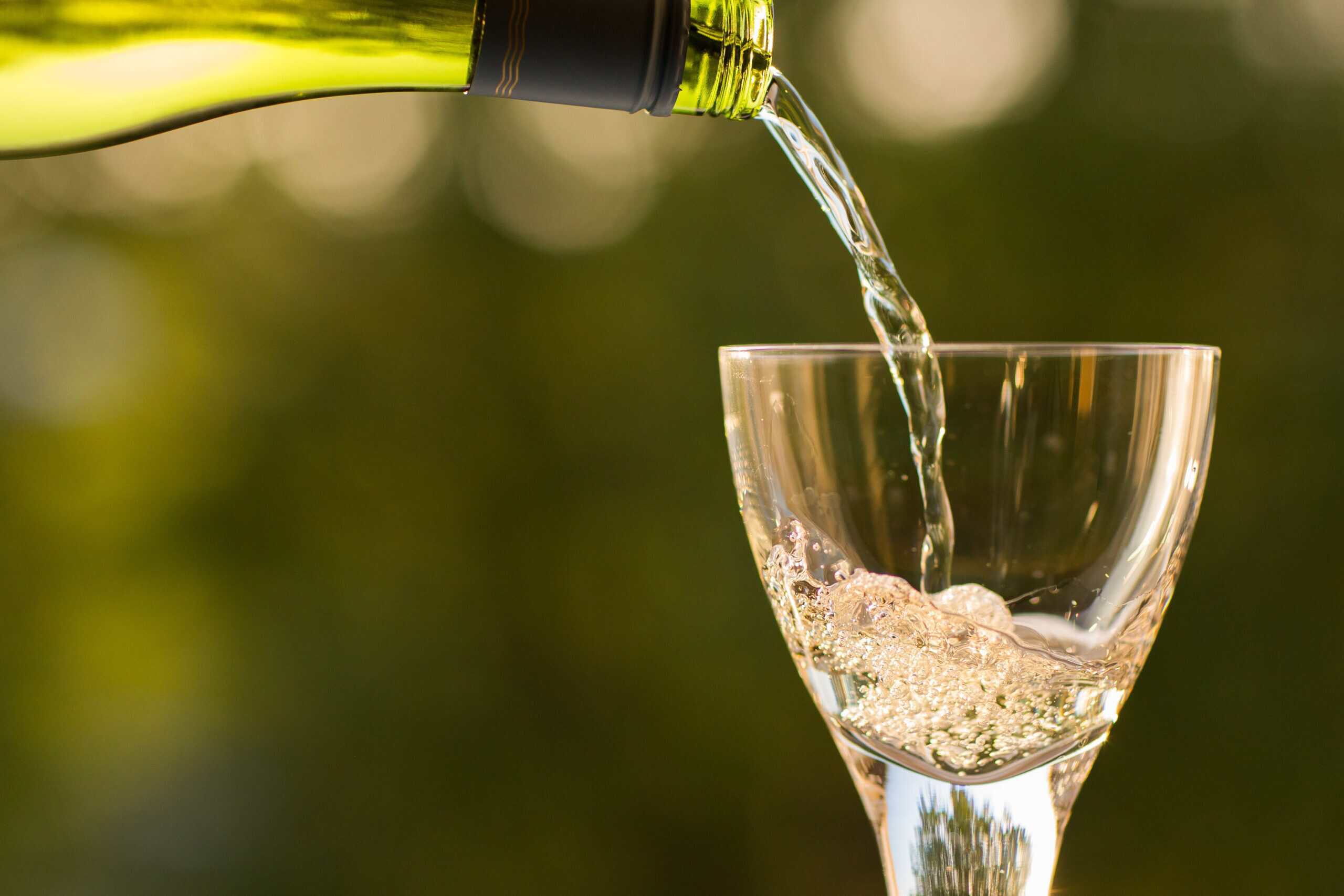 Seven Facts About Sauvignon Blanc! Seven Facts About Sauvignon Blanc!