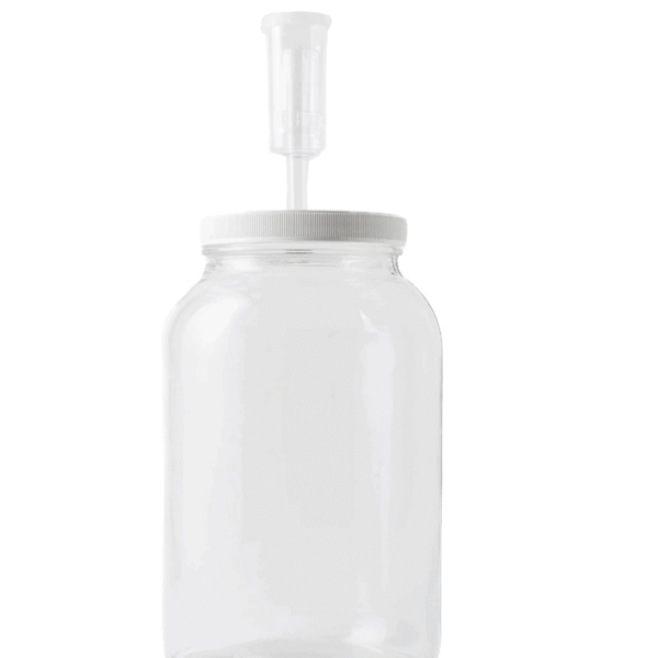 Gallon jar with air lock