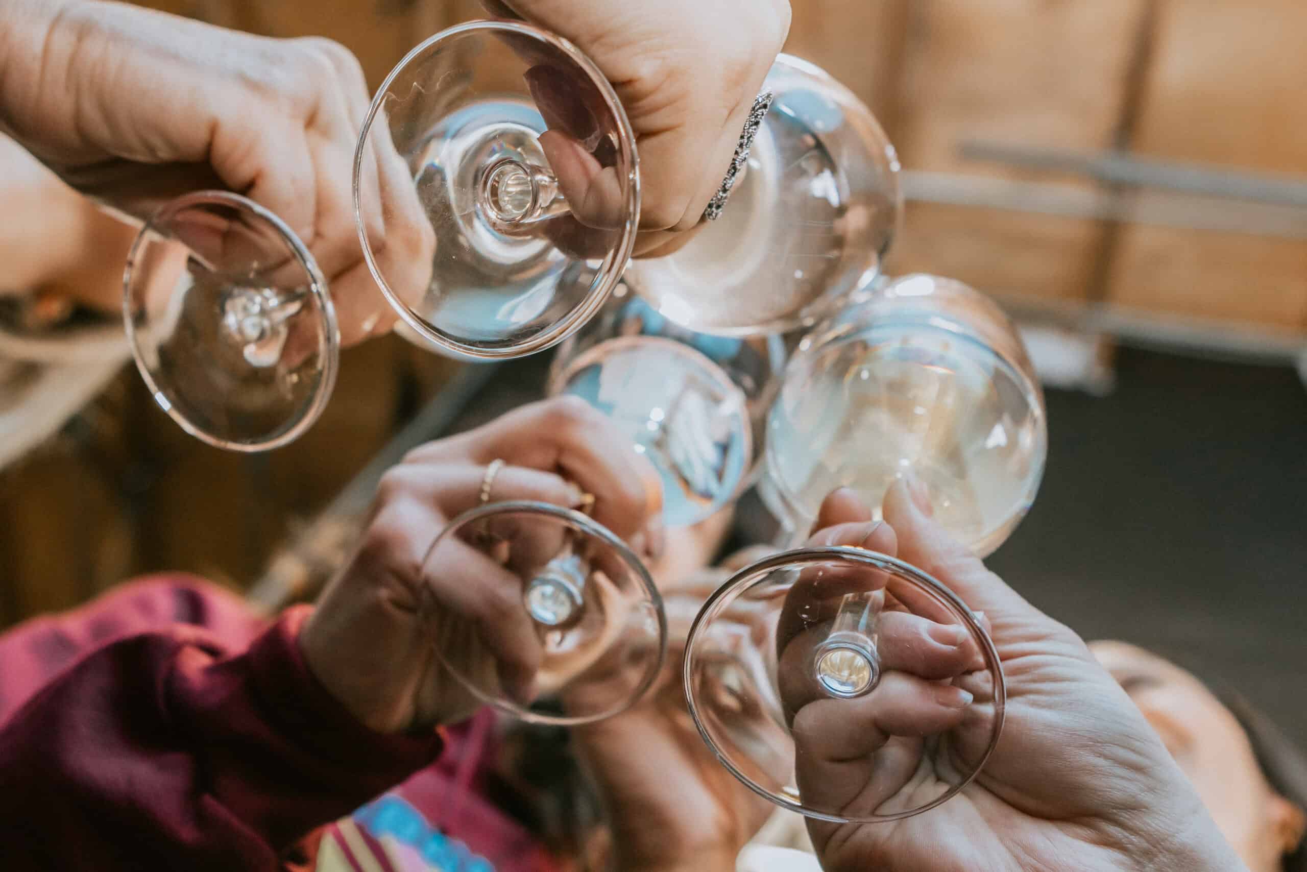 Guests raising glasses of Cork It wine in a toast