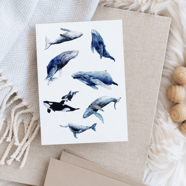 Whale Set Watercolor Art Card- Elena Markelova Arts