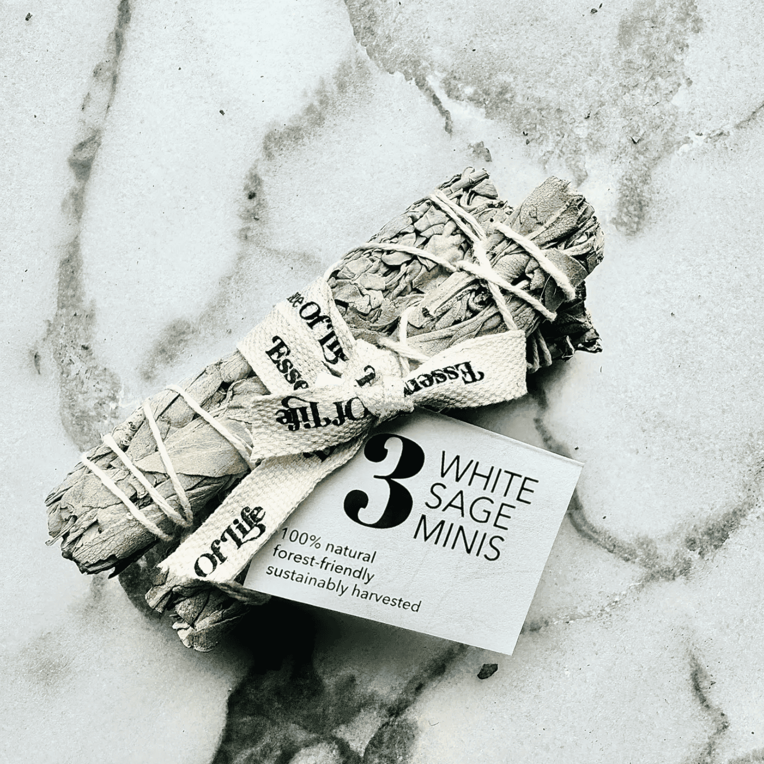 Mini White Sage Bundles | Ethically Sourced Smudge Sticks