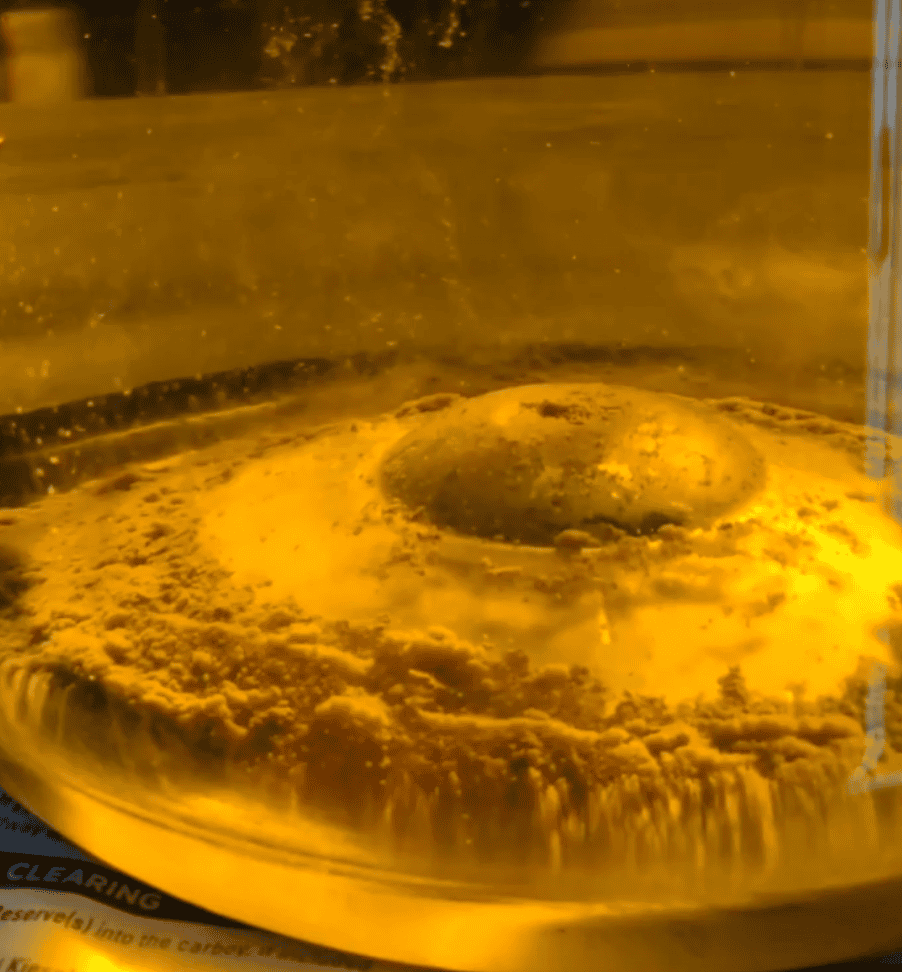 Thick layer of lees sediment settled at the bottom of a wine carboy during clearing